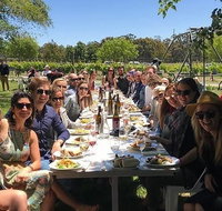 McLaren Vale Wine Tour - C Tourism