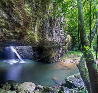 Springbrook andTamborine Rainforest Tour Incl Natural Bridge and Glow Worm Cave - C Tourism