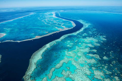 Fly & Cruise Package With Lunch - C Tourism 6