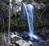 You Choose the Tour Brisbane Private Chauffeur Driven Personal Tour - C Tourism