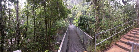 Cape Tribulation, Mossman Gorge, And Daintree Rainforest Day Trip From Cairns Or Port Douglas - C Tourism 4