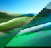 Cape Tribulation Mossman Gorge and Daintree Rainforest Day Trip from Cairns or Port Douglas - C Tourism