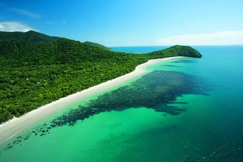 Cape Tribulation, Mossman Gorge, And Daintree Rainforest Day Trip From Cairns Or Port Douglas - C Tourism 0