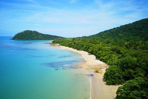 Cape Tribulation, Mossman Gorge, And Daintree Rainforest Day Trip From Cairns Or Port Douglas - C Tourism 10
