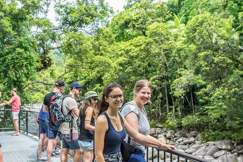 Cape Tribulation, Mossman Gorge, And Daintree Rainforest Day Trip From Cairns Or Port Douglas - C Tourism 15