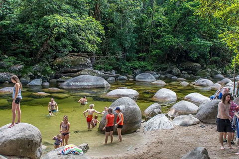 Cape Tribulation, Mossman Gorge, And Daintree Rainforest Day Trip From Cairns Or Port Douglas - C Tourism 14