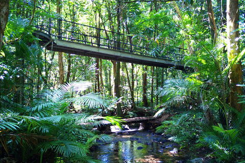Cape Tribulation, Mossman Gorge, And Daintree Rainforest Day Trip From Cairns Or Port Douglas - C Tourism 7