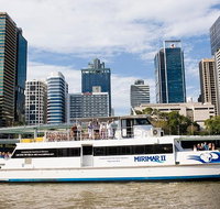 Lone Pine Koala Sanctuary Admission with Brisbane River Cruise - C Tourism