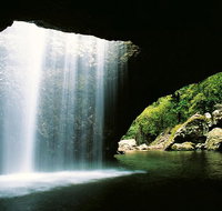 World Heritage Springbrook National Park Tour Including Natural Bridge - C Tourism