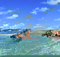 Horse Swimming Ride from Rainbow Beach - C Tourism