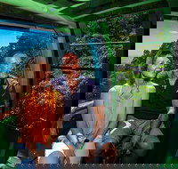 Skyrail Rainforest Cableway Day Trip from Palm Cove - C Tourism