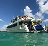 Eco Marine Safari - Boom netting  Snorkeling Moreton Island - Fortitude Valley - C Tourism