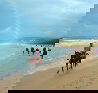 Rainbow Beach Horse Ride - C Tourism