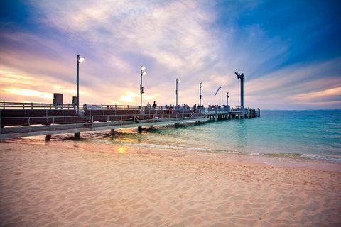 Dolphin Viewing Day Cruise To Tangalooma Island Resort On Moreton Island - C Tourism 4