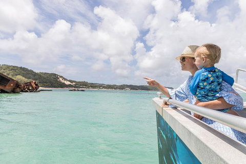 Dolphin Viewing Day Cruise To Tangalooma Island Resort On Moreton Island - C Tourism 7