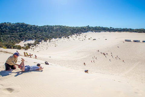 Dolphin Viewing Day Cruise To Tangalooma Island Resort On Moreton Island - C Tourism 6