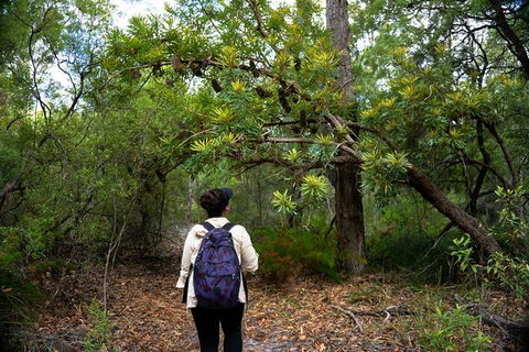 Pack-free Camping: Lake McKenzie Central Hike - 2 Days - C Tourism 1