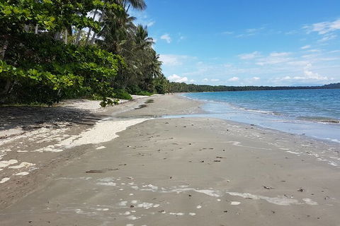 Airport Transfers Between Cairns Airport And Port Douglas - C Tourism 4