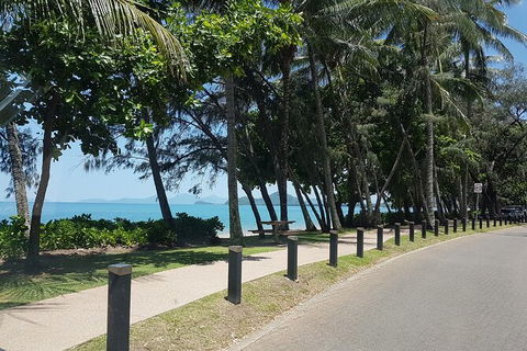 Airport Transfers Between Cairns Airport And Port Douglas - C Tourism 8