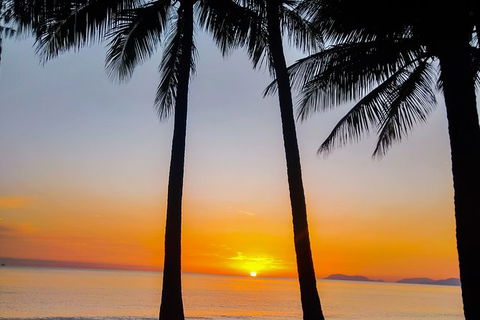 Airport Transfers Between Cairns Airport And Port Douglas - C Tourism 6