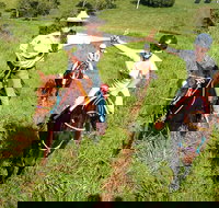 Country Day Ride from Mt Goomboorian with Rainbow Beach Horse Rides - C Tourism