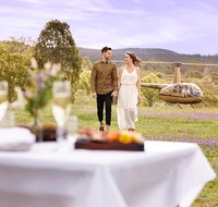 Helicopter Winery Tour for Two - C Tourism