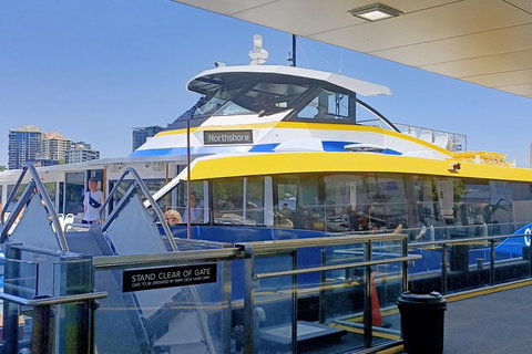 Brisbane City Essentials Walking Tour - C Tourism 8