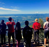 Springbrook Full Day Tour - C Tourism