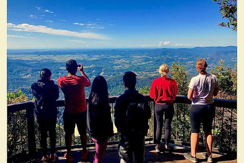 Springbrook Full Day Tour - C Tourism 0
