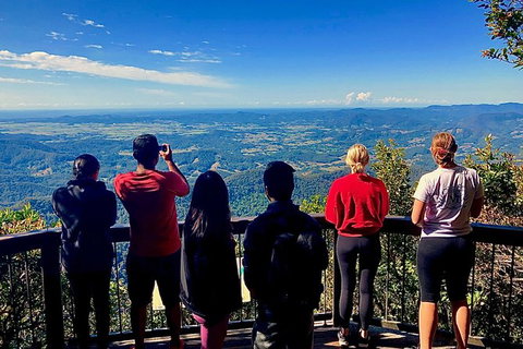 Springbrook Full Day Tour - C Tourism 2