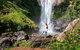 Springbrook Full Day Tour - thumb 10