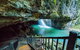 Springbrook Full Day Tour - thumb 12