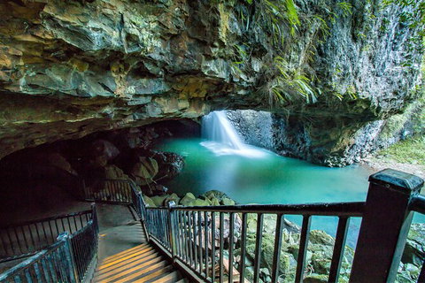 Springbrook Full Day Tour - C Tourism 12
