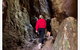 Springbrook Full Day Tour - thumb 7