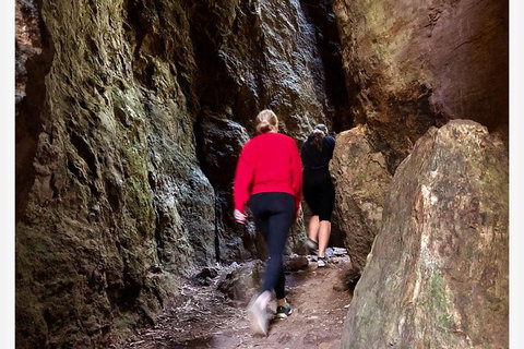 Springbrook Full Day Tour - C Tourism 7