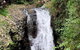 Springbrook Full Day Tour - thumb 4