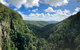 Springbrook Full Day Tour - thumb 3