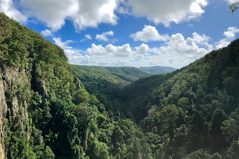 Springbrook Full Day Tour - C Tourism 3