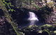 Springbrook Full Day Tour - thumb 16