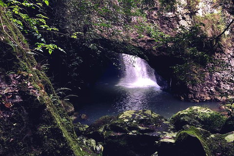 Springbrook Full Day Tour - C Tourism 16