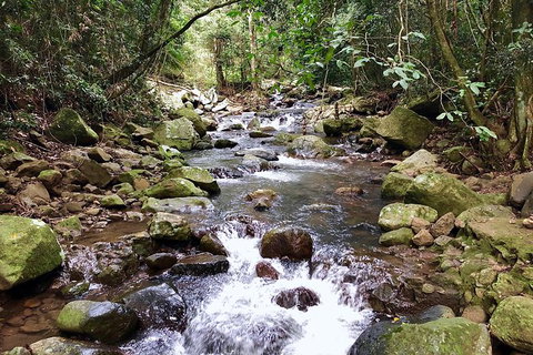 Springbrook Full Day Tour - C Tourism 5