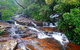 Springbrook Full Day Tour - thumb 13