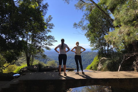 Springbrook Full Day Tour - C Tourism 15