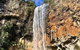 Springbrook Full Day Tour - thumb 14