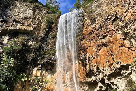 Springbrook Full Day Tour - C Tourism 14