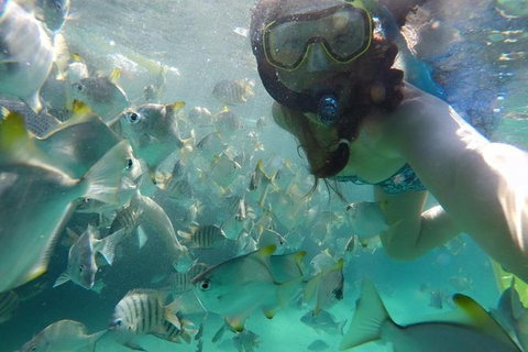 2-Day Moreton Island 4WD Camping Tour From Brisbane - C Tourism 1