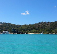 Moreton Island Overnight Stay at Tangalooma Resort from Brisbane - C Tourism