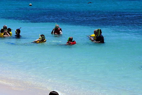 Ocean Spirit Michaelmas Cay Dive And Snorkel Cruise From Palm Cove - C Tourism 1