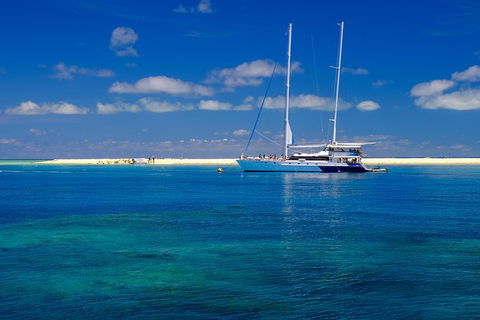 Ocean Spirit Michaelmas Cay Dive And Snorkel Cruise From Palm Cove - C Tourism 3