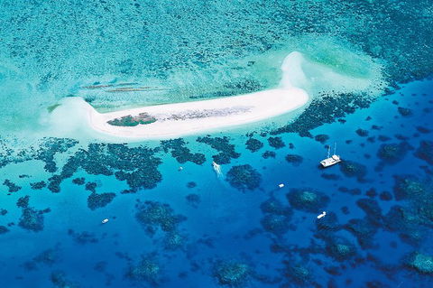 Ocean Spirit Michaelmas Cay Dive And Snorkel Cruise From Palm Cove - C Tourism 7